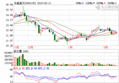 樂凱膠片：發布相關募投項目可能存在特有風險公告