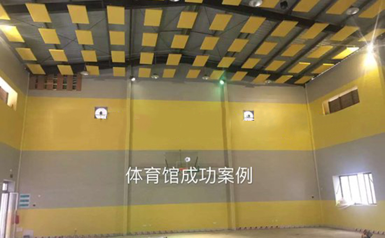 廣東廣州室內體育館吸音板工程