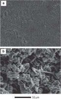 科學(xué)家成功找到解決鋰電池安全隱患的新方式