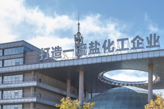 這家鹽化工企業(yè)入局電解液領(lǐng)域 擬投18.78億建新項目