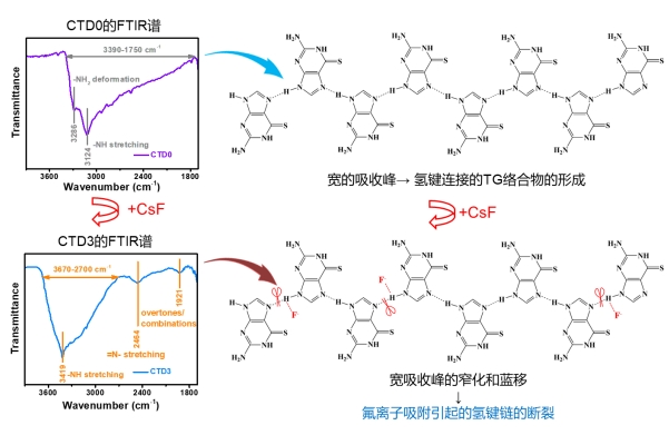 上海硅酸鹽所設(shè)計(jì)出砜類電解液體系的室溫氟離子電池