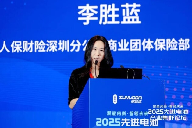 2025先進(jìn)電池產(chǎn)業(yè)集群論壇圓滿落幕