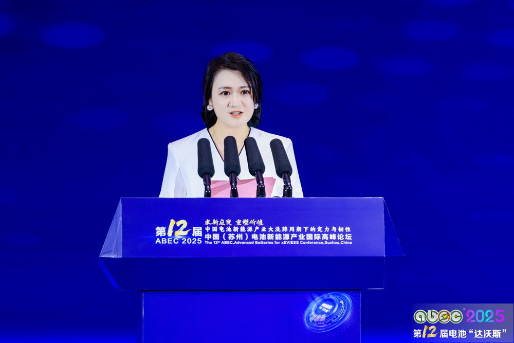 電池“達(dá)沃斯”組委會秘書長耿茜茜