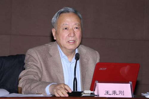 王秉剛：警惕重蹈傳統(tǒng)汽車技術(shù)空心化的覆轍