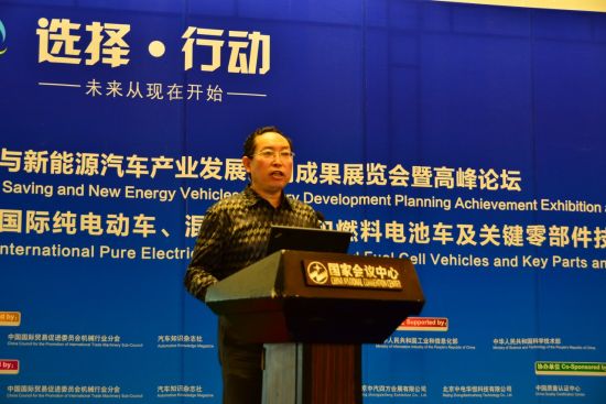 中國化學與物理電源行業協會秘書長劉彥龍
