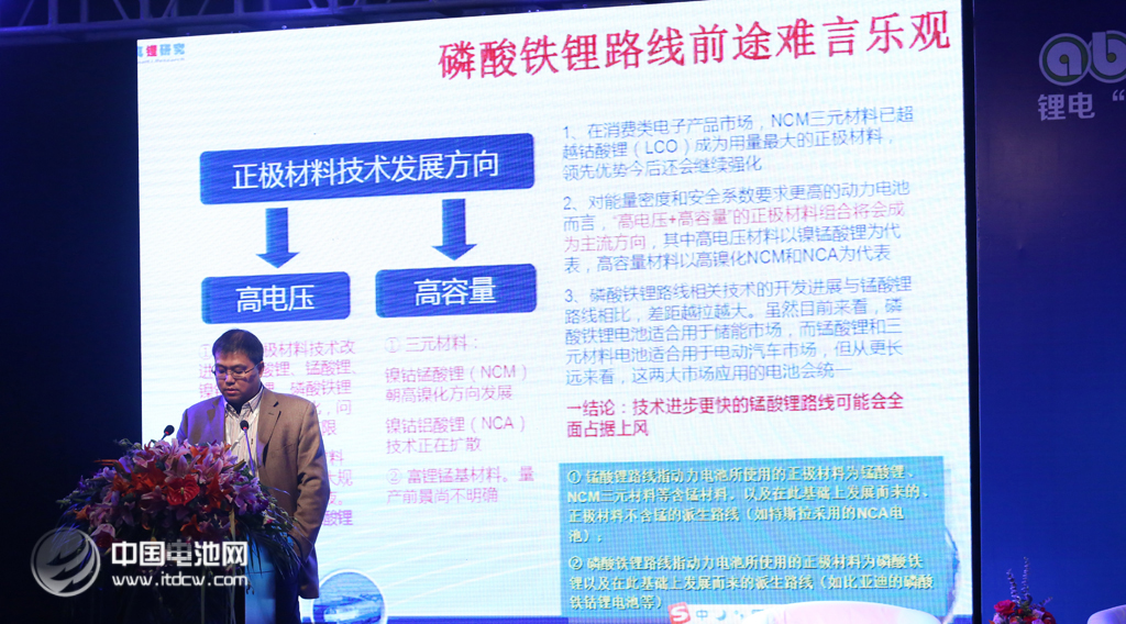第二屆鋰電“達(dá)沃斯”學(xué)術(shù)委員會(huì)秘書(shū)長(zhǎng)、真鋰研究首席研究員墨柯