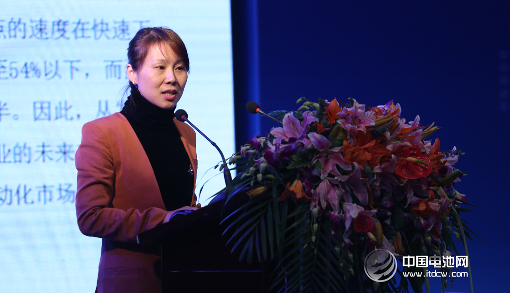 東莞杉杉總經理黃繼宏:電解液價格戰將繼續 東莞杉杉總經理黃繼宏:電解液價格戰將繼續