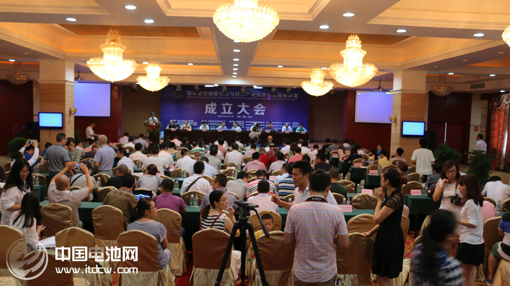 電子科大能源科學與工程學院副院長吳孟強、電子科大資產(chǎn)管理公司總經(jīng)理、四川經(jīng)信委創(chuàng)新處副處長丁銳、張樹人先后發(fā)了言，縣委書記蔣喻新，科技部中國技術(shù)市場協(xié)會常務(wù)理事、副秘書長孫小林共同為國家新型儲能電池與材料產(chǎn)業(yè)技術(shù)創(chuàng)新戰(zhàn)略聯(lián)盟揭牌。