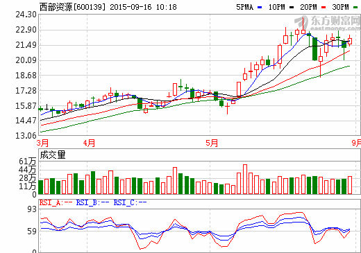 西部資源轉(zhuǎn)型新能源 擬繼續(xù)收購(gòu)新能源汽車企業(yè)