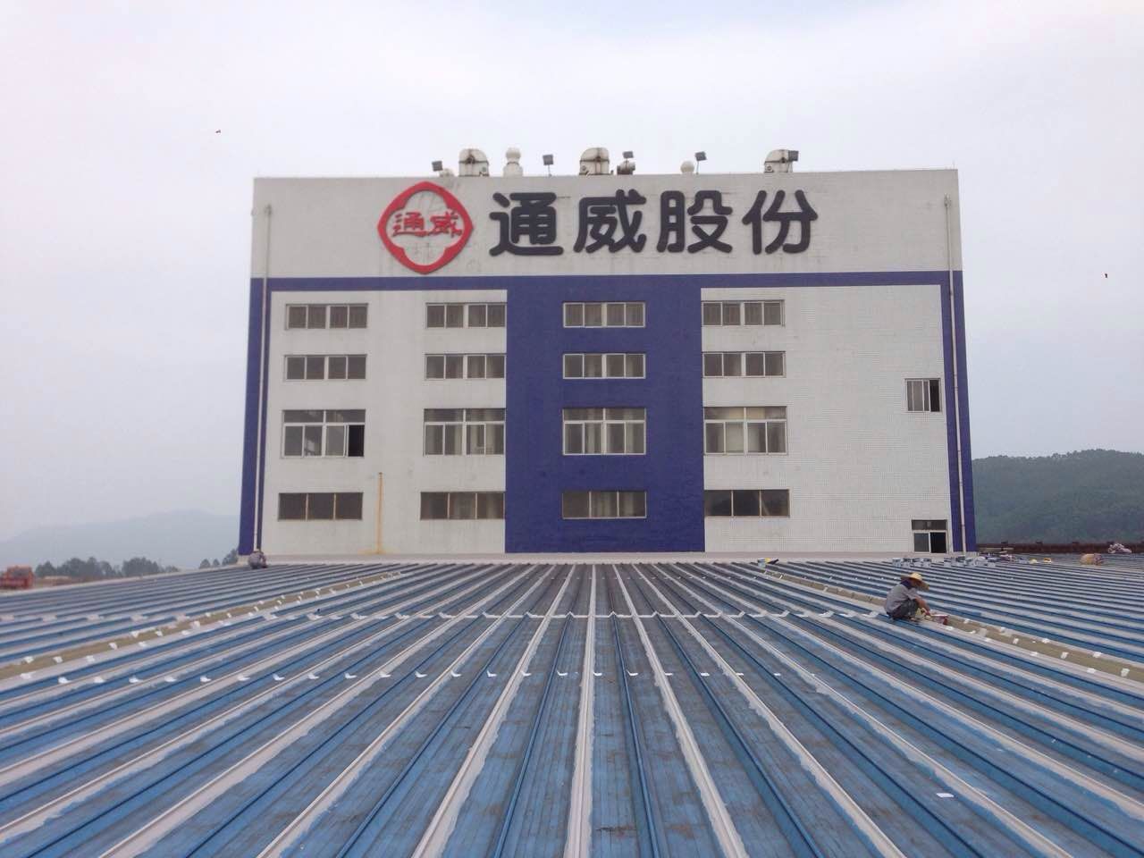 通威股份：再次“重拳”出擊80億重金再投新能源領(lǐng)域