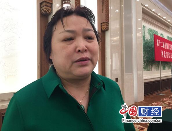 新能源汽車"地方保護(hù)"?人大代表：避免地方過度干預(yù)