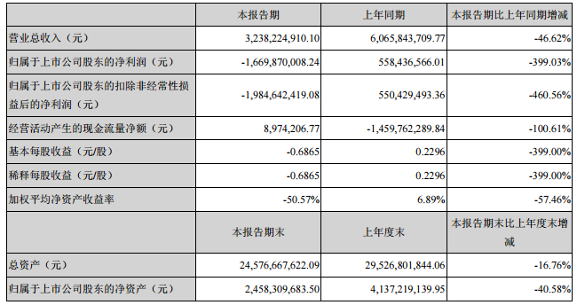 堅(jiān)瑞沃能主要會(huì)計(jì)數(shù)據(jù)和財(cái)務(wù)指標(biāo)