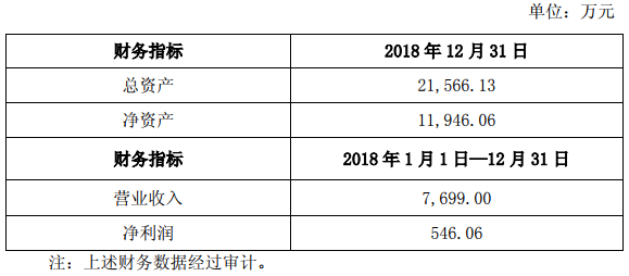 新源動力2018年的主要財務數據 新源動力2018年的主要財務數據