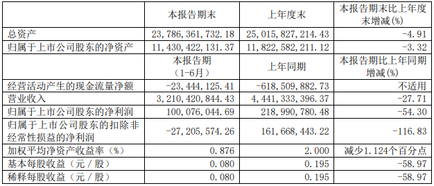 杉杉股份2020半年度報告主要財務(wù)數(shù)據(jù).png