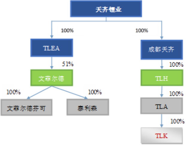 本次交易前，TLEA及相關(guān)標(biāo)的的主要股權(quán)結(jié)構(gòu)