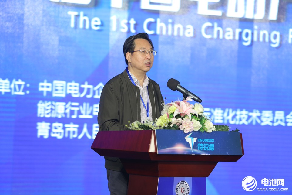 中國電力企業(yè)聯(lián)合會(huì)電動(dòng)汽車與儲(chǔ)能分會(huì)會(huì)長(zhǎng)王志軒