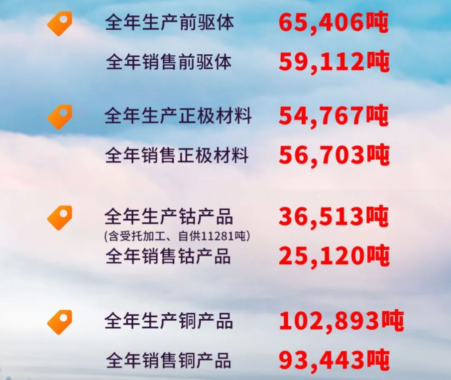 華友鈷業(yè)
