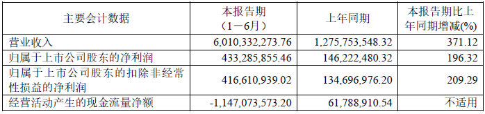 龍蟠科技2022年上半年主要會計數據 單位：元
