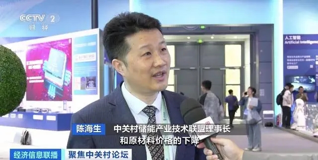 中關村儲能產(chǎn)業(yè)技術聯(lián)盟理事長 陳海生