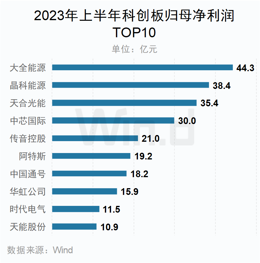 2023年上半年科創(chuàng)板歸母凈利潤(rùn)TOP10企業(yè)