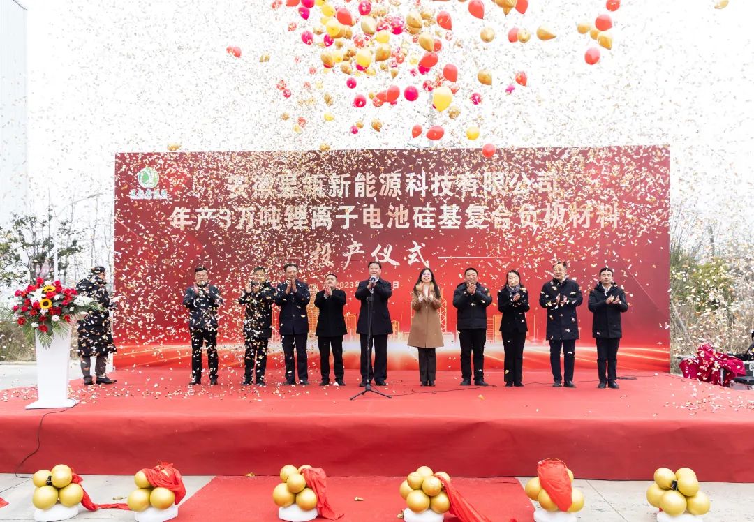 安徽蚌埠年產(chǎn)3萬噸鋰離子電池硅基復(fù)合負(fù)極材料項目迎新進(jìn)展