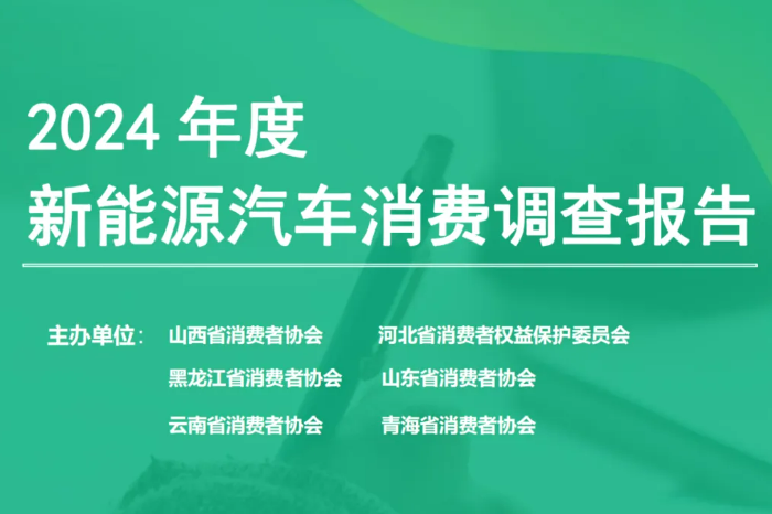 2024年度新能源汽車消費調查：15萬元以下的價格更受青睞