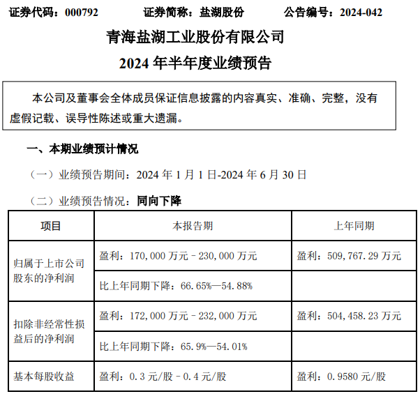 鹽湖股份