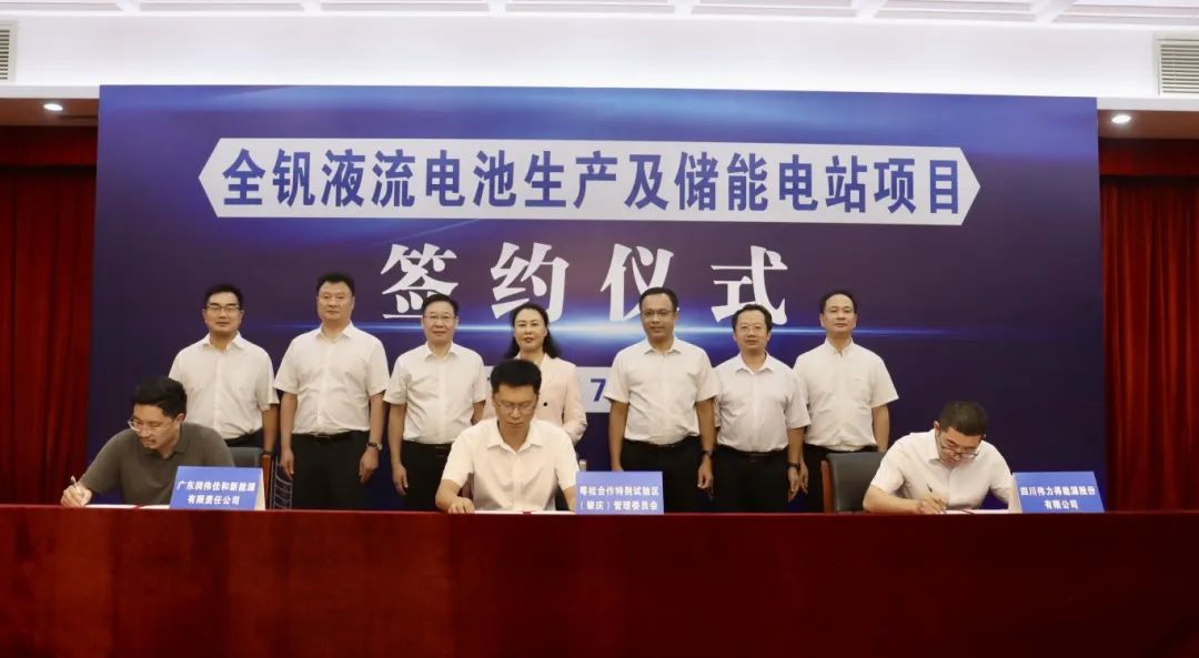 儲(chǔ)能,全釩液流電池,偉力得