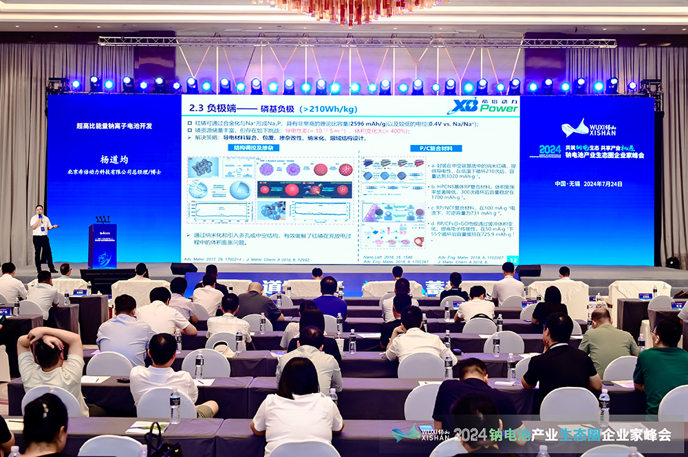 2024中國(guó)（無錫）鈉電池產(chǎn)業(yè)生態(tài)圈企業(yè)家峰會(huì)現(xiàn)場(chǎng) 