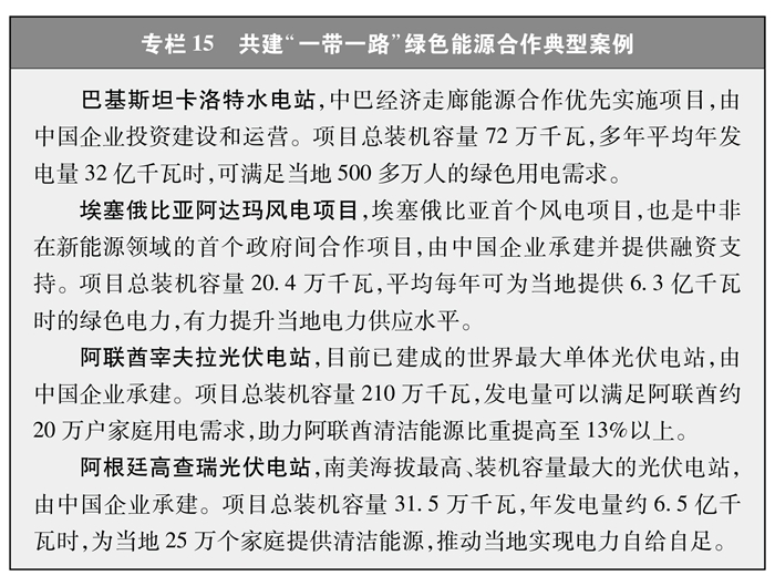 持續(xù)推動(dòng)“一帶一路”綠色能源合作